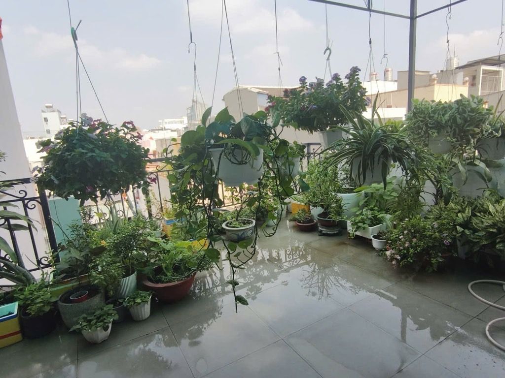 mua nhà Bình Thạnh